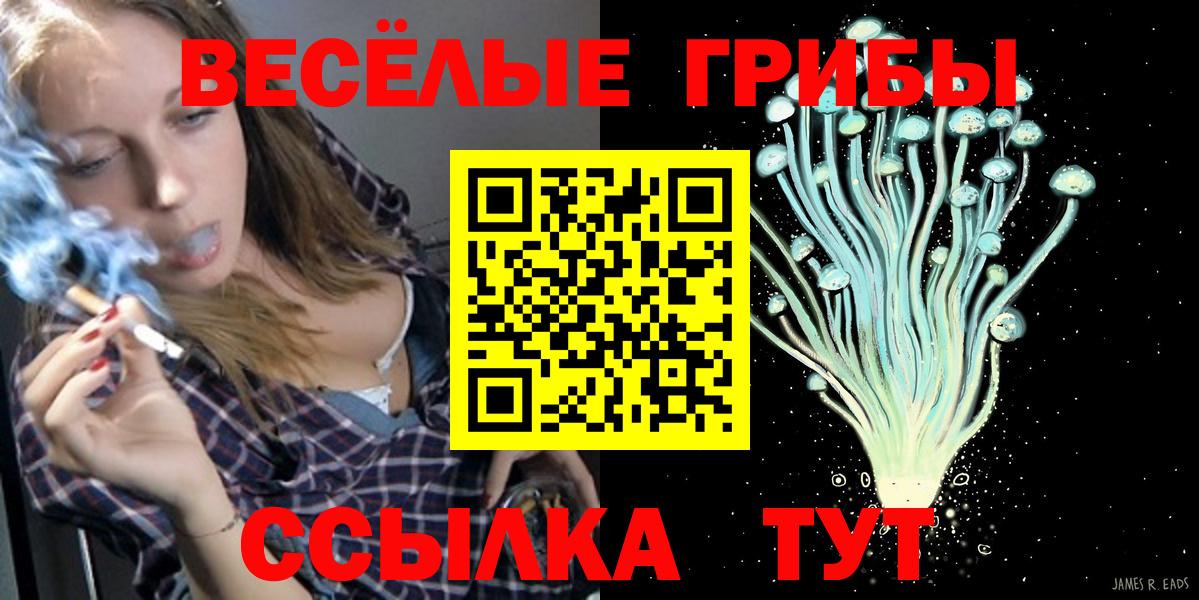 Псилоцибиновые грибы мицелий  Вход с VPN  Псков 